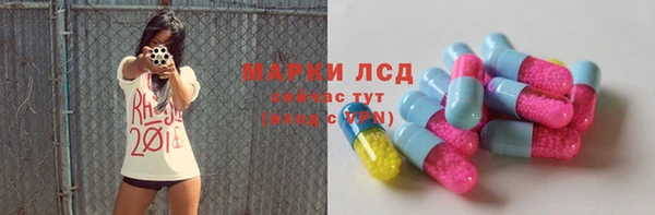 ГАЛЛЮЦИНОГЕННЫЕ ГРИБЫ Алзамай