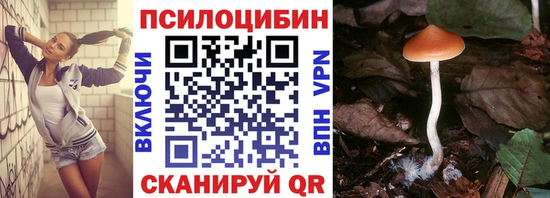 ОМГ ОМГ tor продажа наркотиков Пошехонье сайты даркнета наркотические препараты Галлюциногенные грибы мицелий